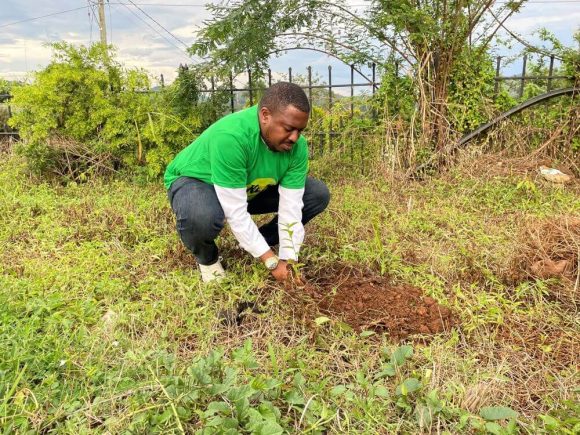 The Hoima City Lord Mayor - His Worship Brian Kaboyo Adyeeri planting a tree at the launch of the campaign.