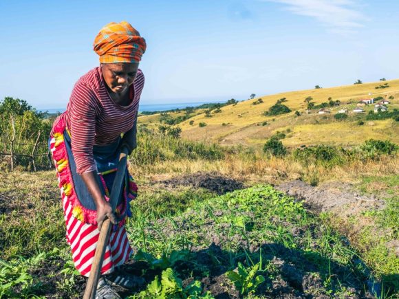 In the face of the Growing Climate Crisis, are COP29 Resolutions a Lifeline for Africa’s Rural Communities?