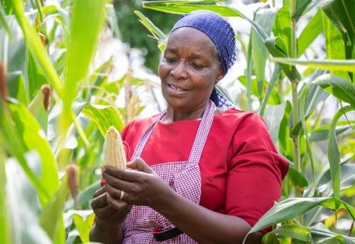 Social Livelihood Improvement