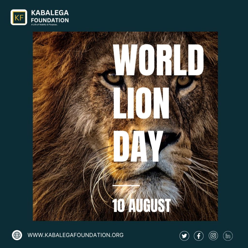 #WorldLionDay (10th August), to us at Kabalega Foundation is Symbolic.