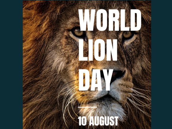 #WorldLionDay (10th August), to us at Kabalega Foundation is Symbolic.