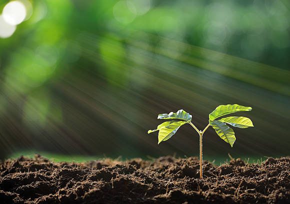 “A Greener Tomorrow Starts with a Single Tree. Together, we achieved so much during the last Green Future Campaign — let’s grow even more this season!”