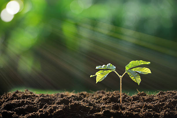 “A Greener Tomorrow Starts with a Single Tree. Together, we achieved so much during the last Green Future Campaign — let’s grow even more this season!”