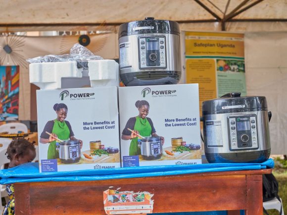 KF-KIW-KIR-IMG_0368-8